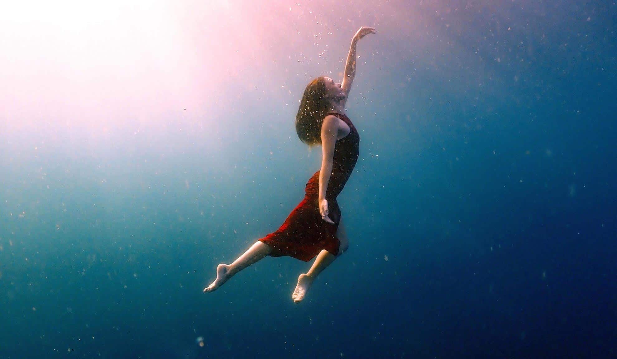 Read more about the article Saving corals, one breath at a time